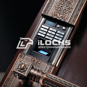 Биометрический электронный замок для двери F5100 Red Copper