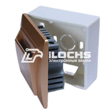 Энергосберегающее устройство IS1004-ITI Сhampagne Ethernet/WiFi/Bluetooth